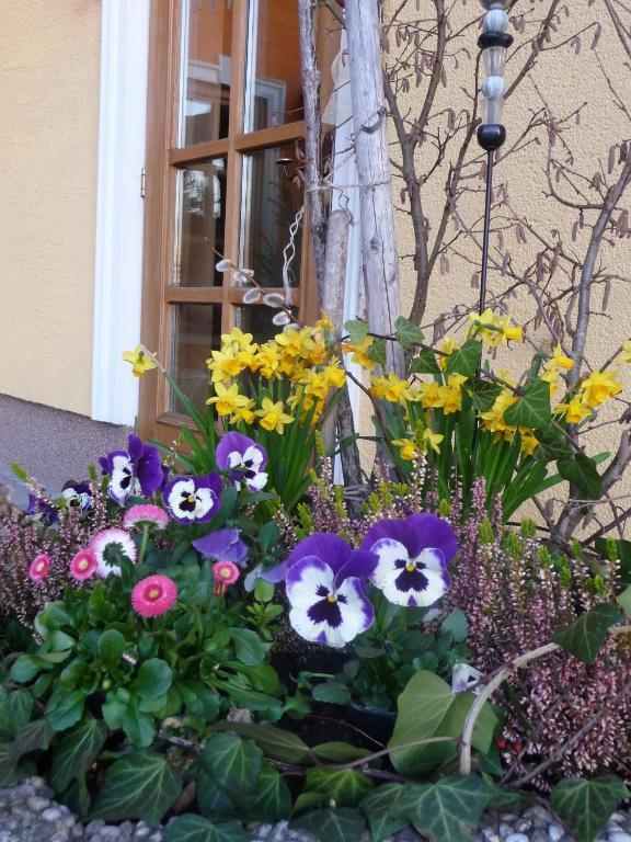 Ferienhotel Herzog Neumarkt am Wallersee Kültér fotó